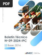 Boletin Tecnico 09-2024-IPC