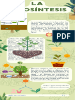 Infografía Consejos para Cuidar A Tus Plantas Ilustrado Verde - 20240929 - 135315 - 0000