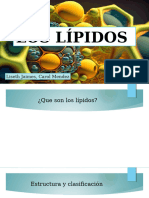 Los Lipidos