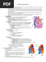 Cardiovascular System Assessment