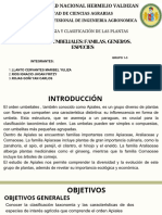 Presentación Diapositivas Propuesta de Proyecto Minimalista Simple Verde y Beige