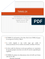 Interpretacion Tmms 24