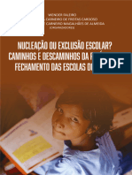 Nucleacao Miolo Ebook