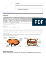 Laboratorio Disección Mejillón y Langostino