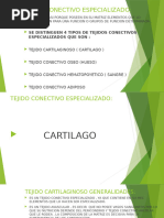 5 Tejido Conectivo Especializado - Cartilago