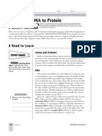 From DNA to Potein