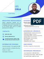 CV Feliz-2