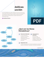 Rutas Metabolicas Una Introduccion