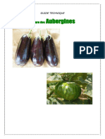 Aubergine_Fiche-technique