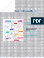 Tema 16. Introduccion Metabolismo - 2023