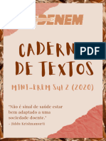 Caderno de Textos Mini-Erem 2020