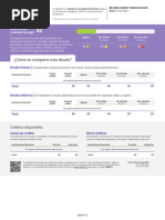 Informe Deudas 18735705-5