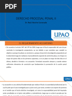 El+Control+de+Acusacion+-+Requerimiento+Acusatorio