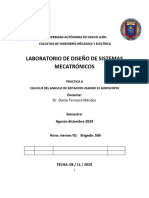 P6 DSM 2035404