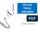 Cellule Tissus Organe