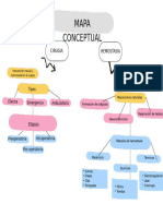 Grafico Mapa Conceptual Esquema Profesional Multicolor