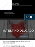 Intestino Delgado 3