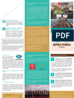 Apec Triptico