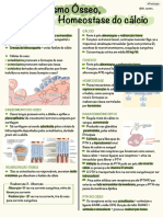 Notas de 08 - 10 - 2024