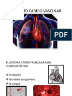 Aparato Cardiovascular