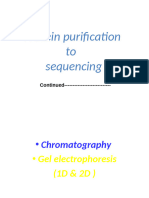 1&2d Gel Electrophoresis