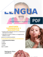 Lengua PTX