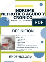 Sindrome Nefrotico12 - 094919