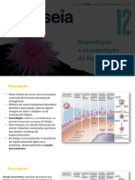 Fecundação e Desenvolvimento Embrionário