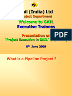 Project Execution