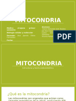 Mitocondria Expo