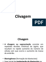 Aula 4 - Desenvolvimento Embrionário - Organogenese - Alunos