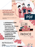 Prevención Del Embarazo en Adolescentes