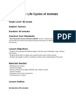 Lesson Plan - Life Cycles of Animals