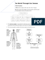 Science Form 2 Chapter 1