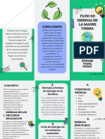 Folleto Tríptico de Servicio de Marketing Agencia Creativa Ilustrado Doodle Multicolor