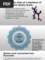 Metabolic Fate of C-Skeleton of Glucogenic Amino Acids