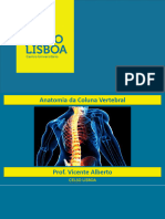 Aula 4 Anatomia coluna vertebral