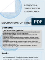 3 - Replication, Transcription, & Translation