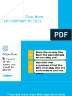 Earth and Life Science SHS 16.4 The Energy Flow From Environment To Cells 2