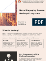 An Overview of The Hadoop Ecosystem