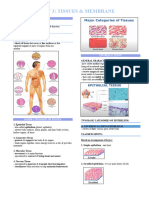 Tissues & Membranes