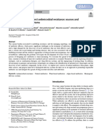 Natural Antibiotics Against Antimicrobial Resistance - Sources and Bioinspired Delivery Systems