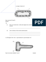 Cells EPQs