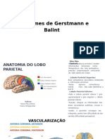 Medicina Neurologia-Síndrome de Gerstmann e Balint