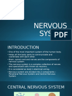 Nervous System - Class 5