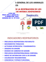 Fisilogia Respiratoria Iis 2024 Modulo 4 Iis