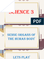 Sense Organ of The Body