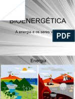 Bioenergtica