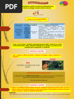 1.°-COMUN.-EdA 2-ACTIV.1