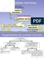 Système Nerveux Central -10ème Cours